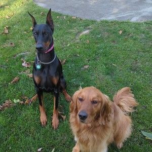 Meet your Posher, Holly